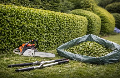 ByGeorge Gardens - Hedge Cutting & Trimming Service