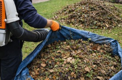 ByGeorge Gardens - Leaf Blowing & Seasonal Clearances Service