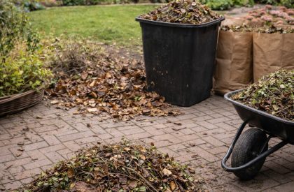 ByGeorge Gardens - Leaf Blowing & Seasonal Clearances Service