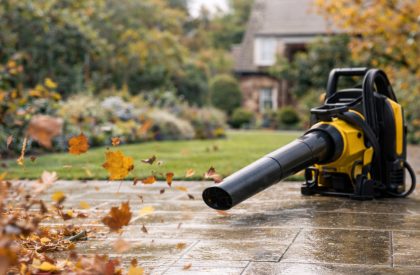 ByGeorge Gardens - Leaf Blowing & Seasonal Clearances Service